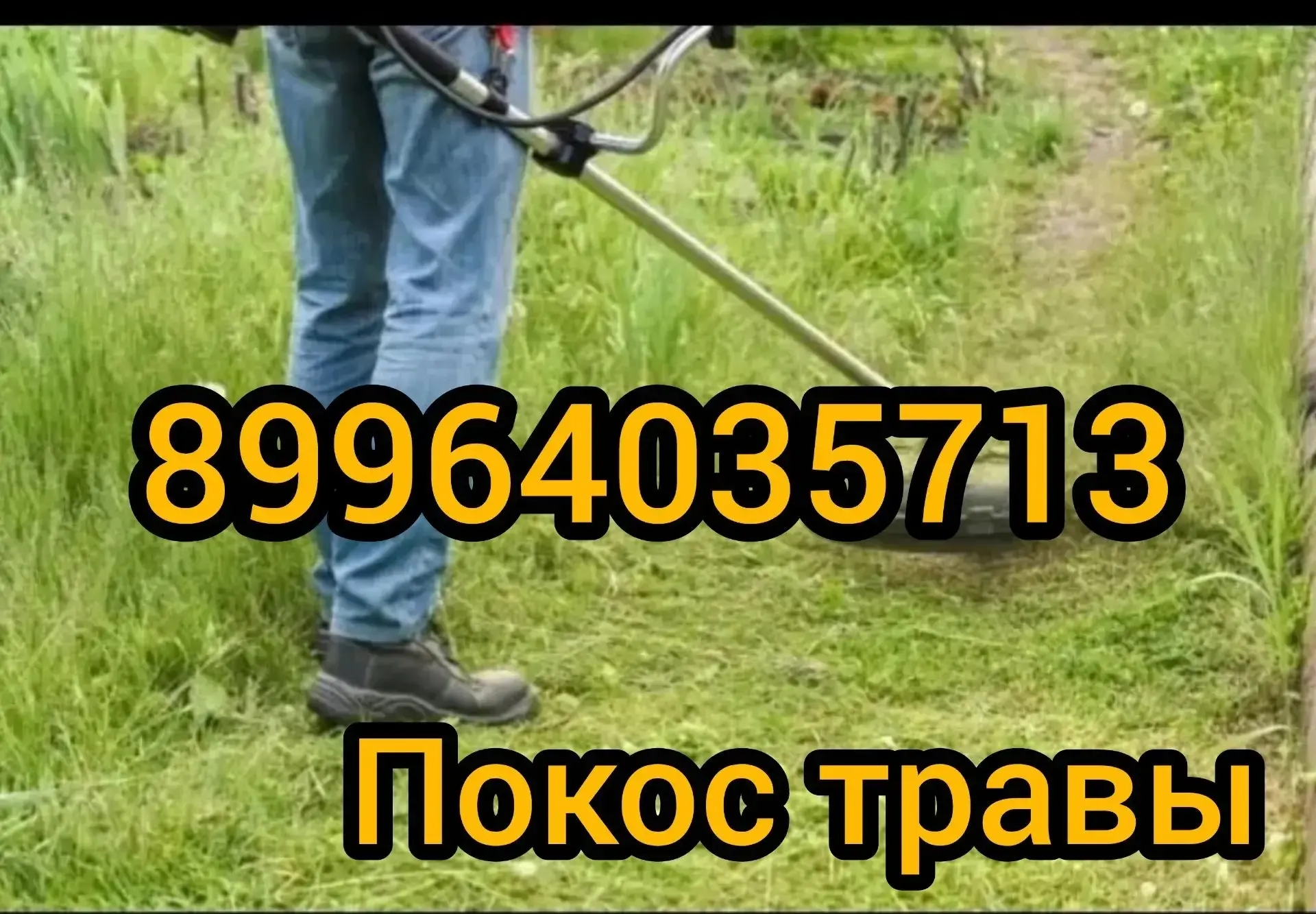 Звоните жду