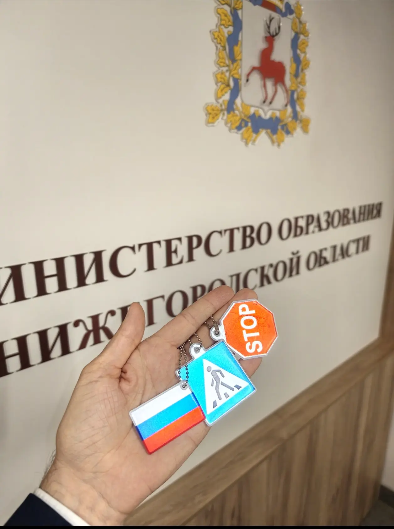 В Нижегородской области стартовал месячник по безопасности дорожного движения «Засветис...