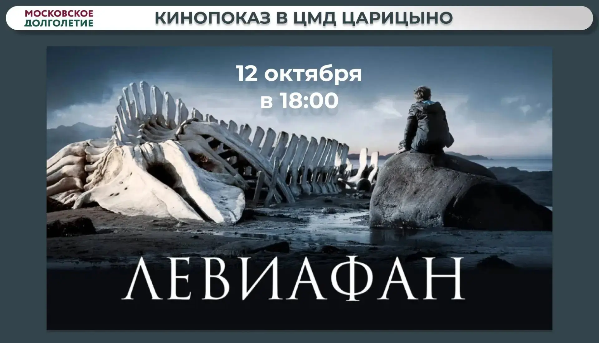 Дорогие друзья!