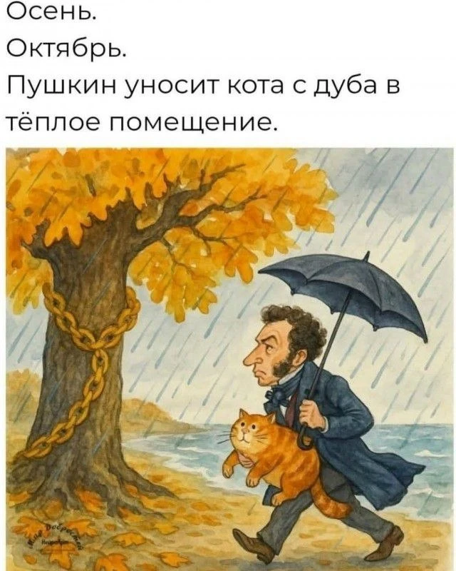 #шуткадня