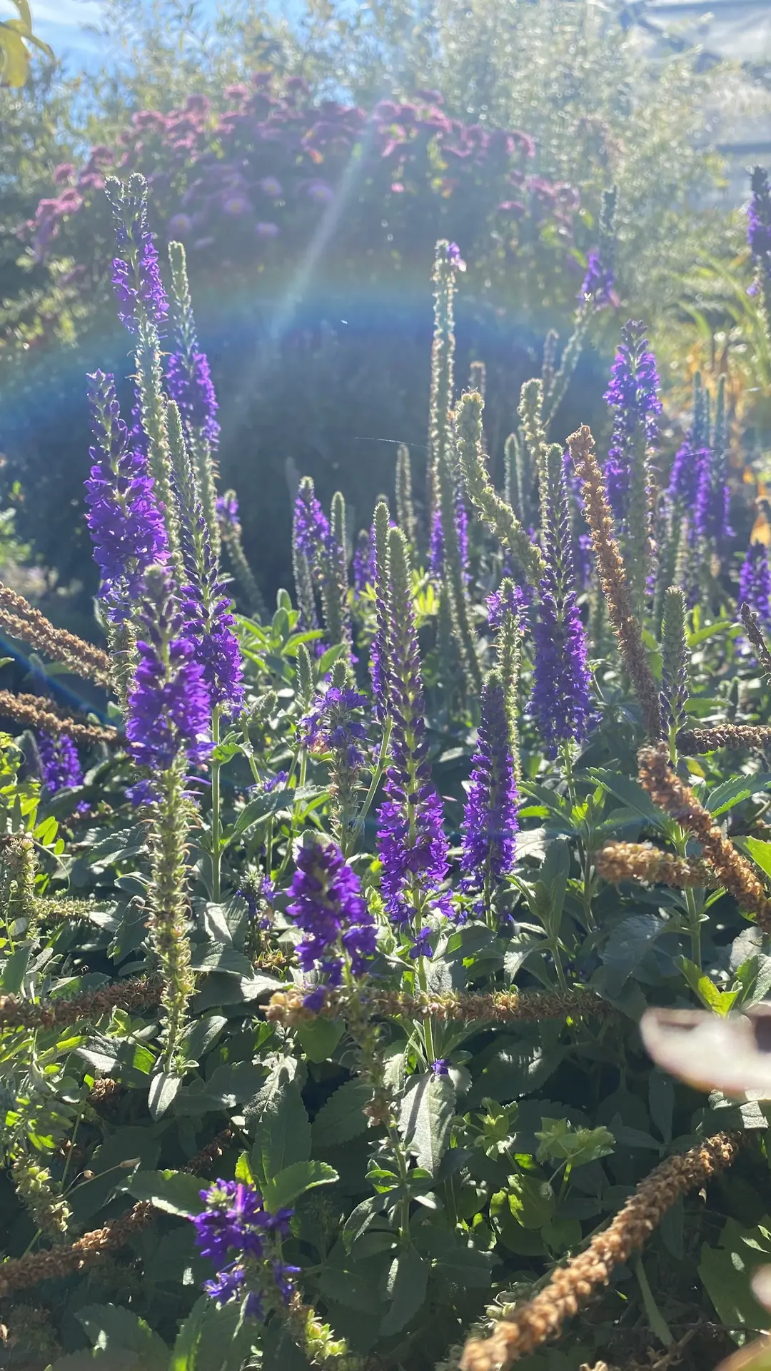 Какой сегодня теплый и солнечный день🌞🌞🌞