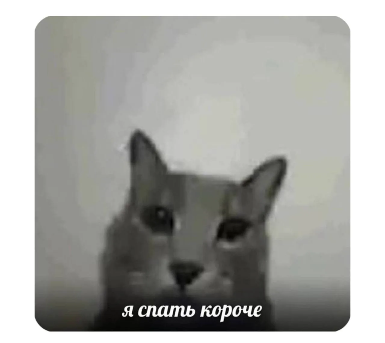 Взято из: Клуб НЕ любителей УЧЁБЫ