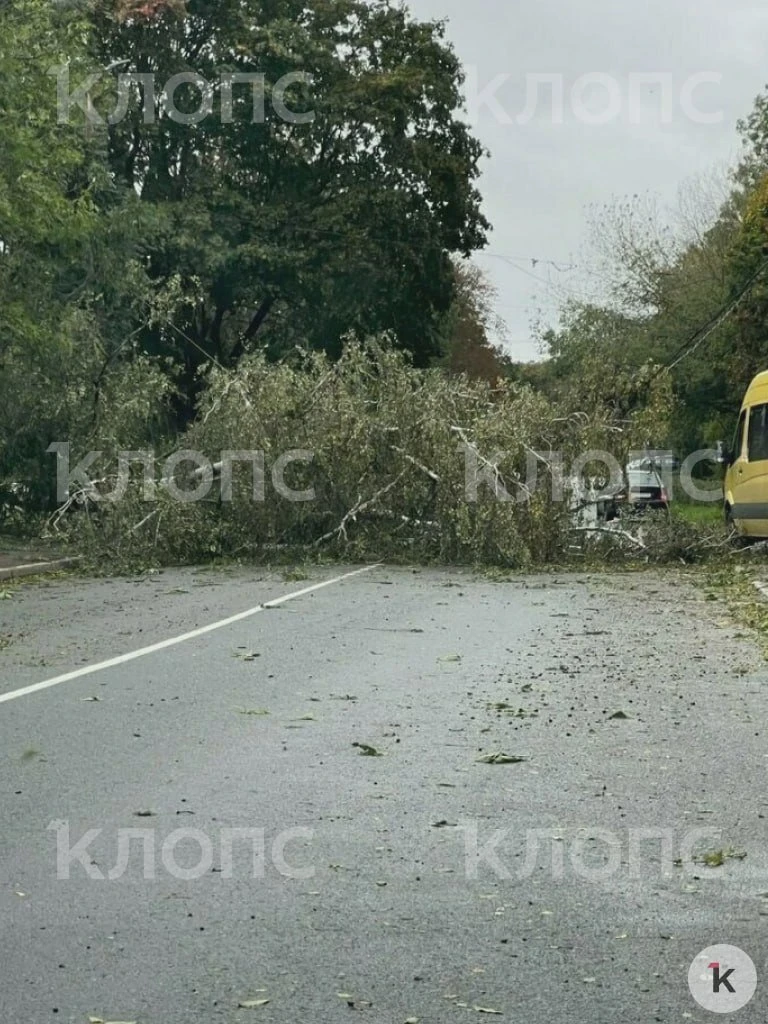 Поваленные деревья осложнили движение