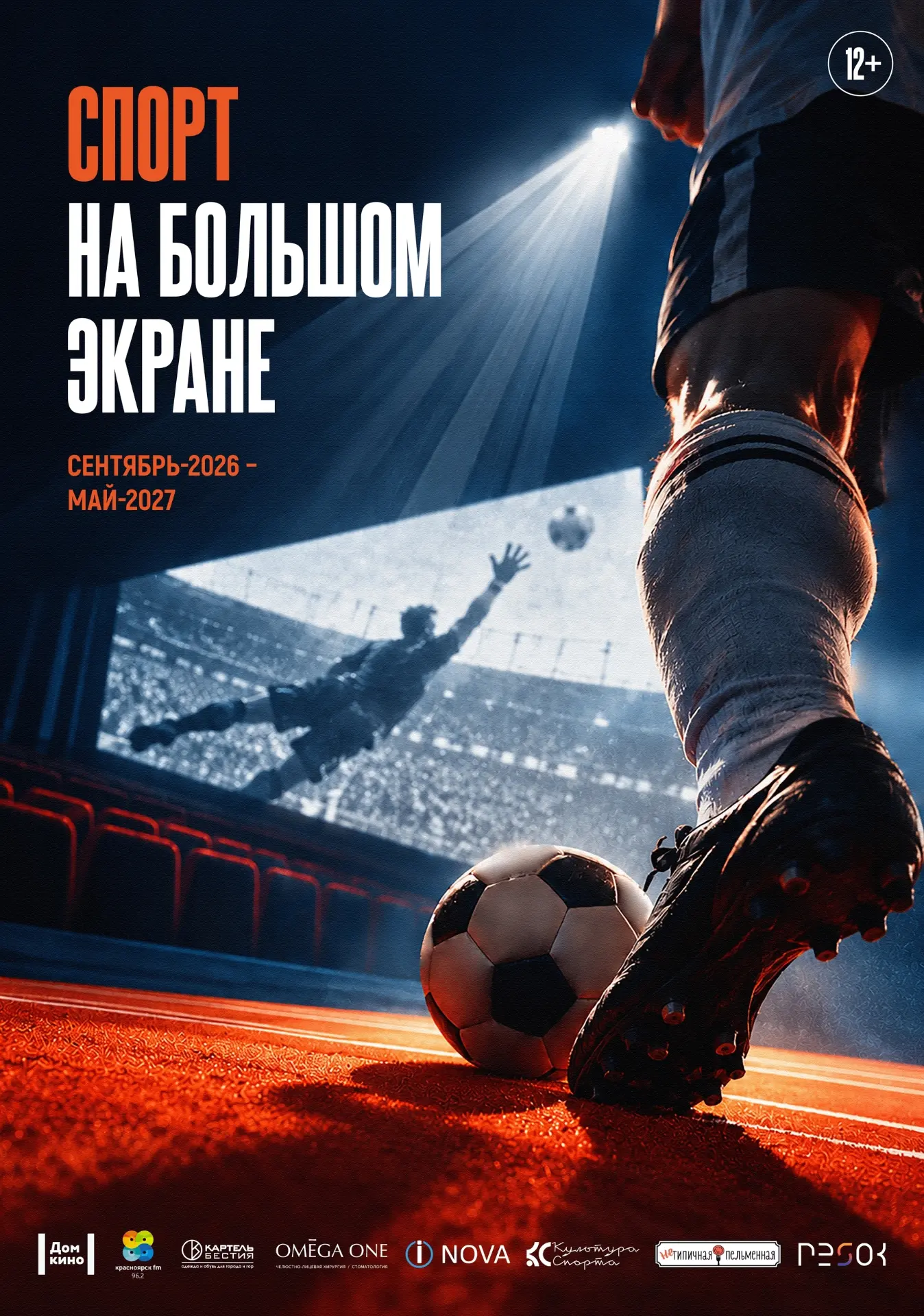 Запускаем проект «Спорт на большом экране» 🏒