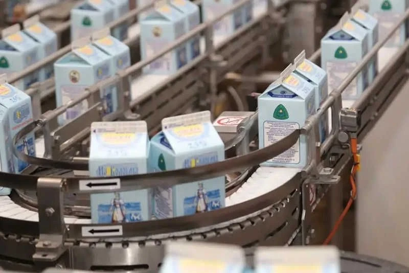 Вологодская область увеличила экспорт молочной продукции на 12%