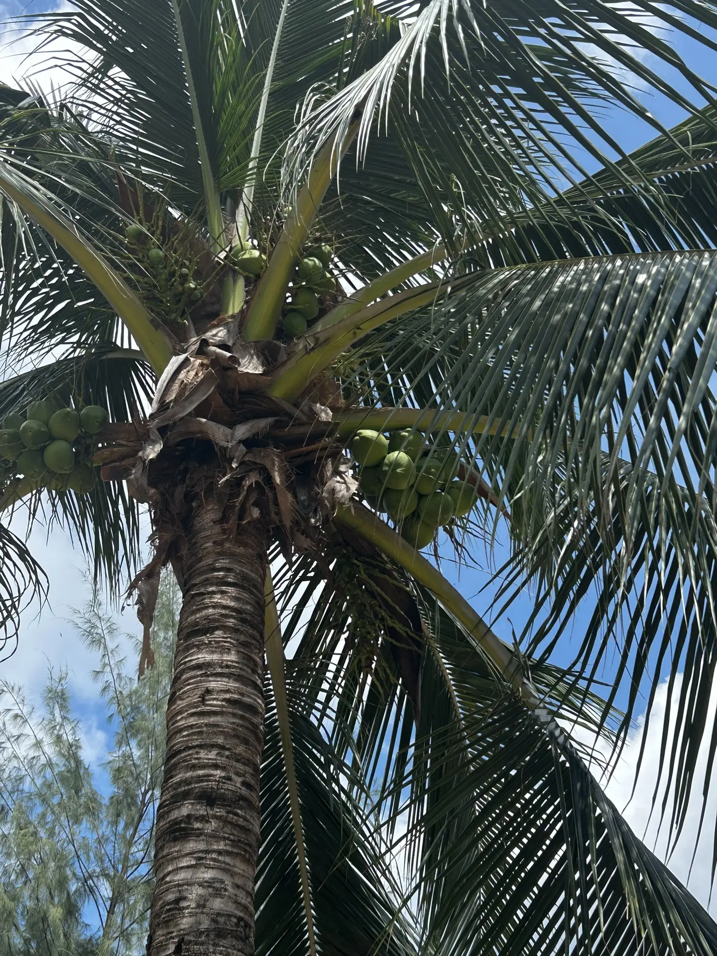 Привет из жаркого Фукуока❤️