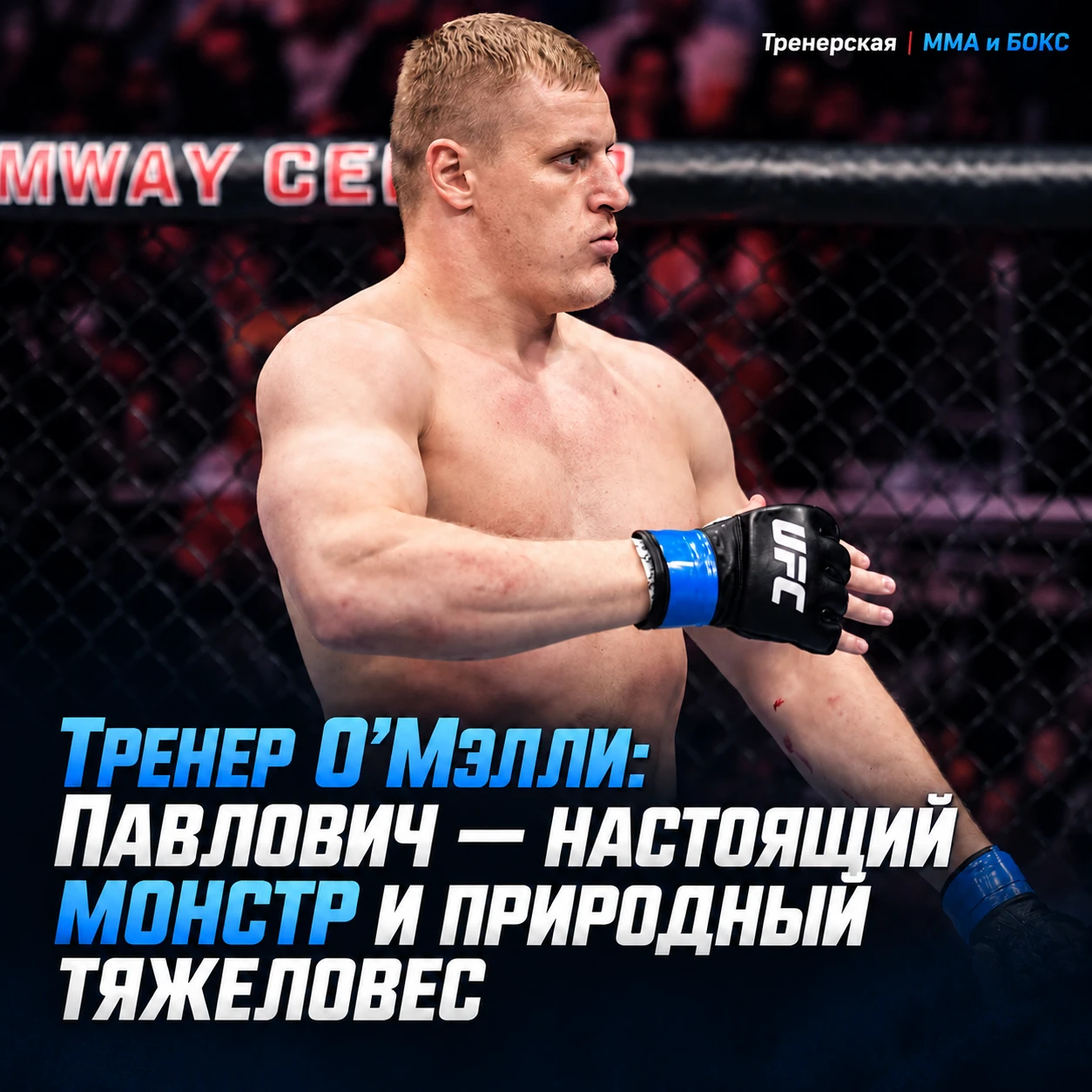 🤔 Тренер Шона О’Мэлли Тим Уэлш поделился мнением о предстоящем бое между Павловичем и ...