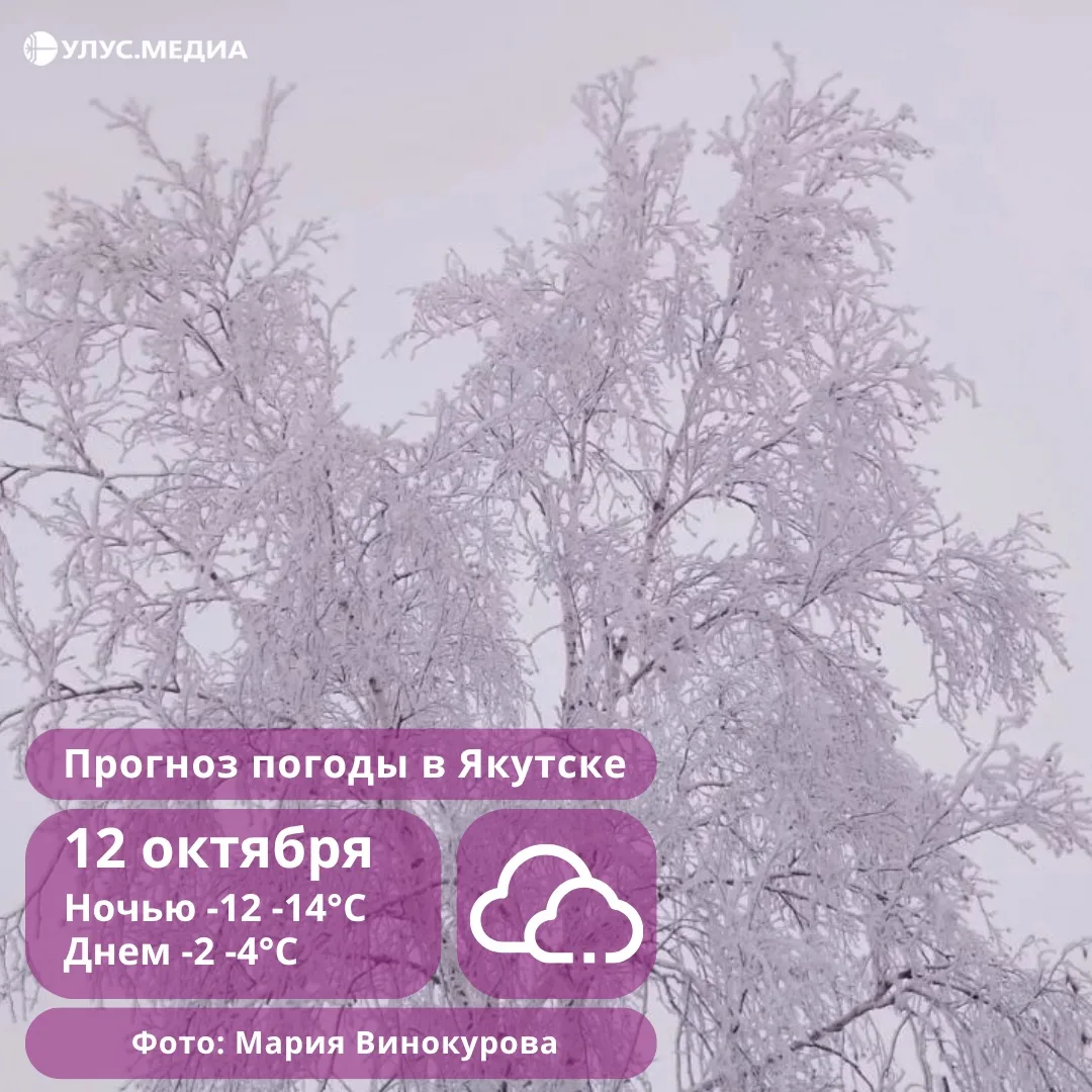 ☁️ Преимущественно без осадков, ночью до -23°, днём до +7°: о погоде в Якутии 12 октября