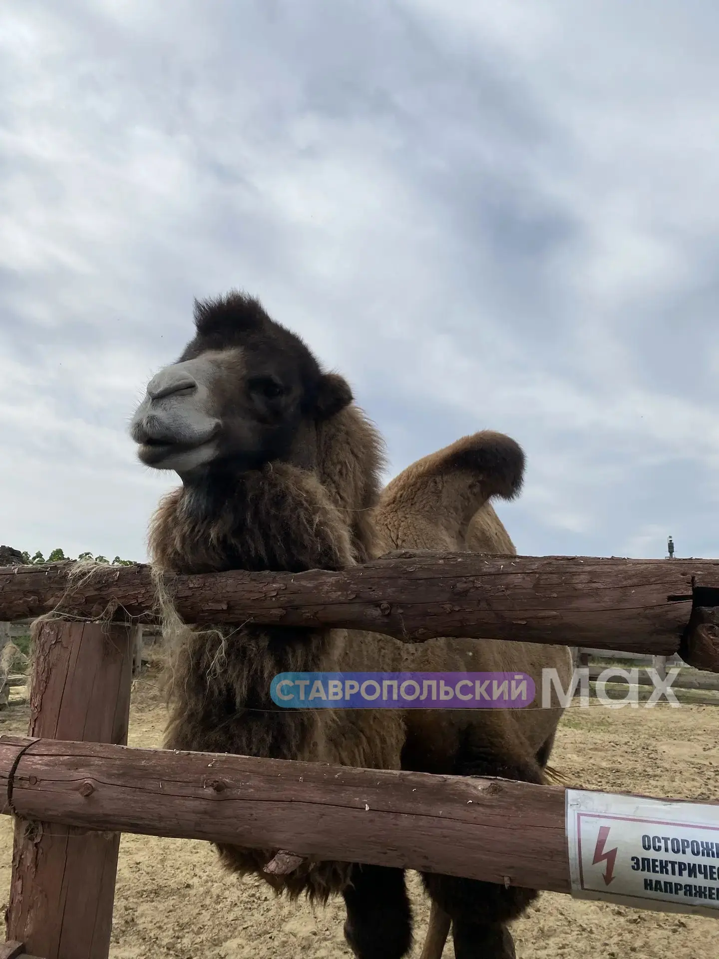 🍉 Практическое занятие для слушателей «Школы фермера» прошло на «Бахче Пономарёвых».
