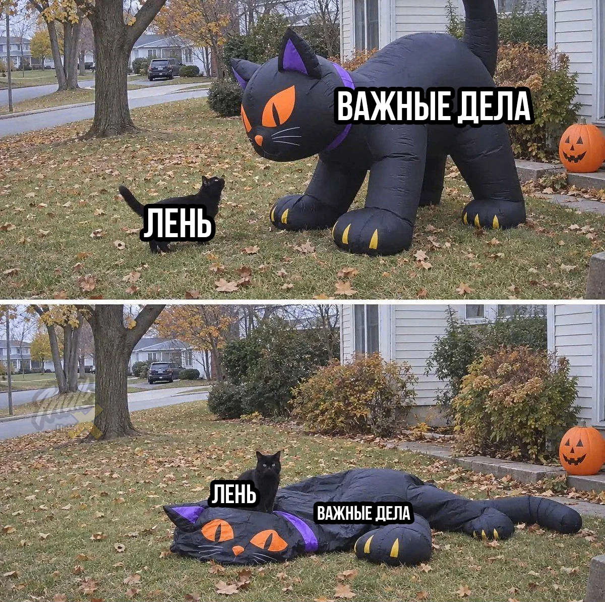 Д-доминирование