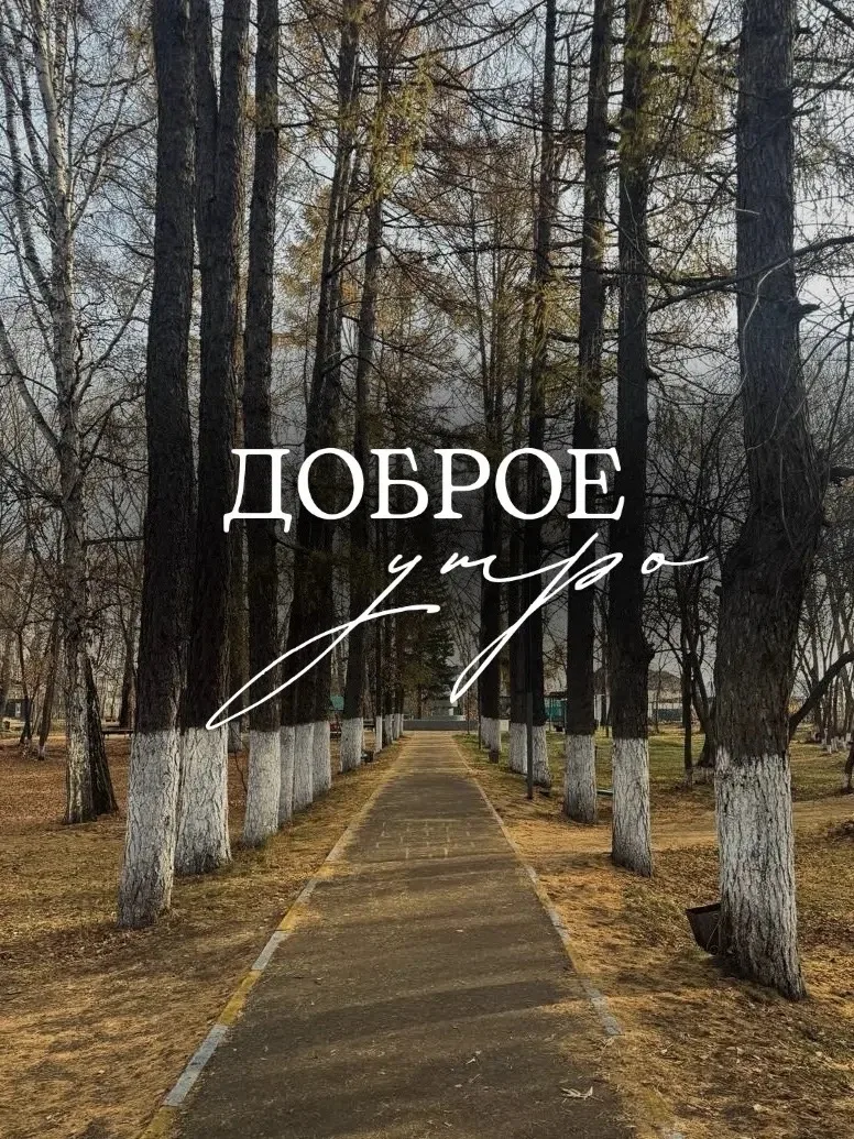 С добрым утром!