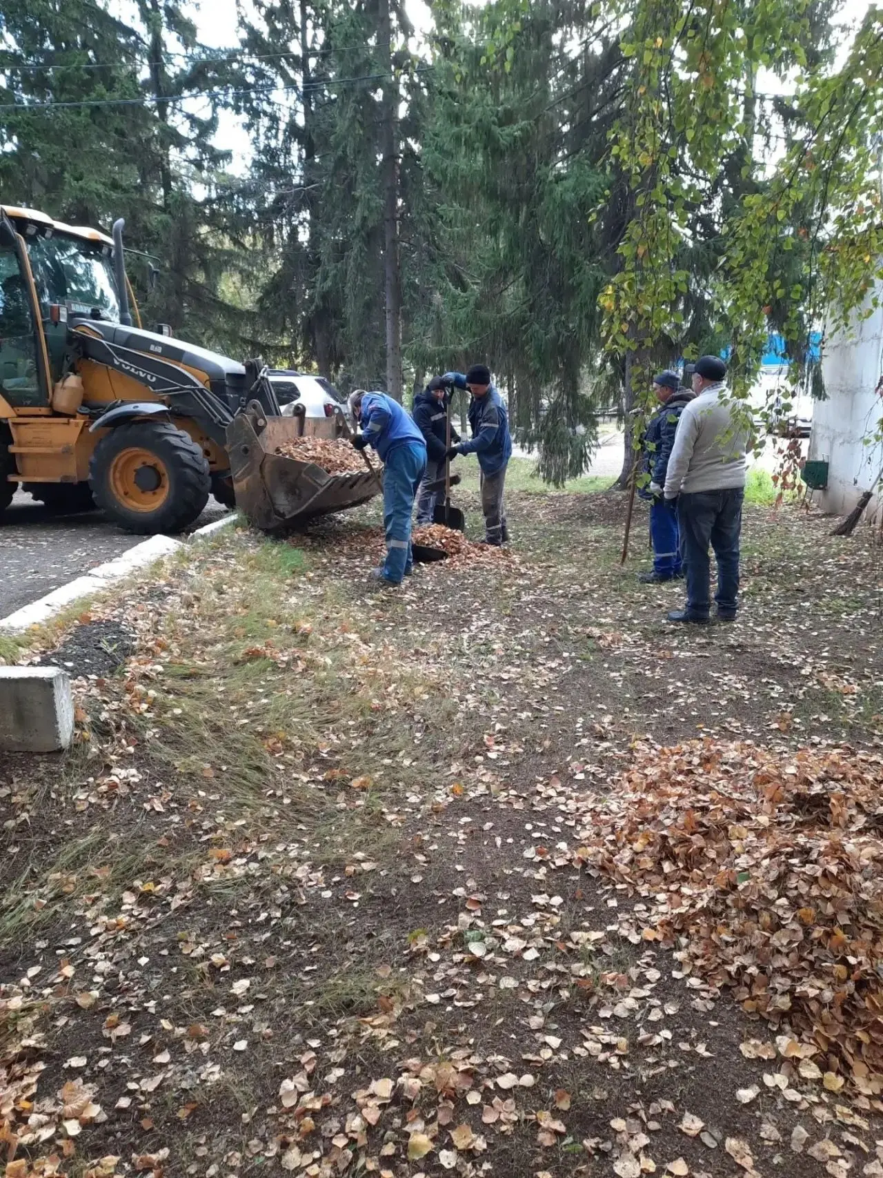 Сегодня в Туймазинском районе проходят  экологические субботники — в рамках регионально...