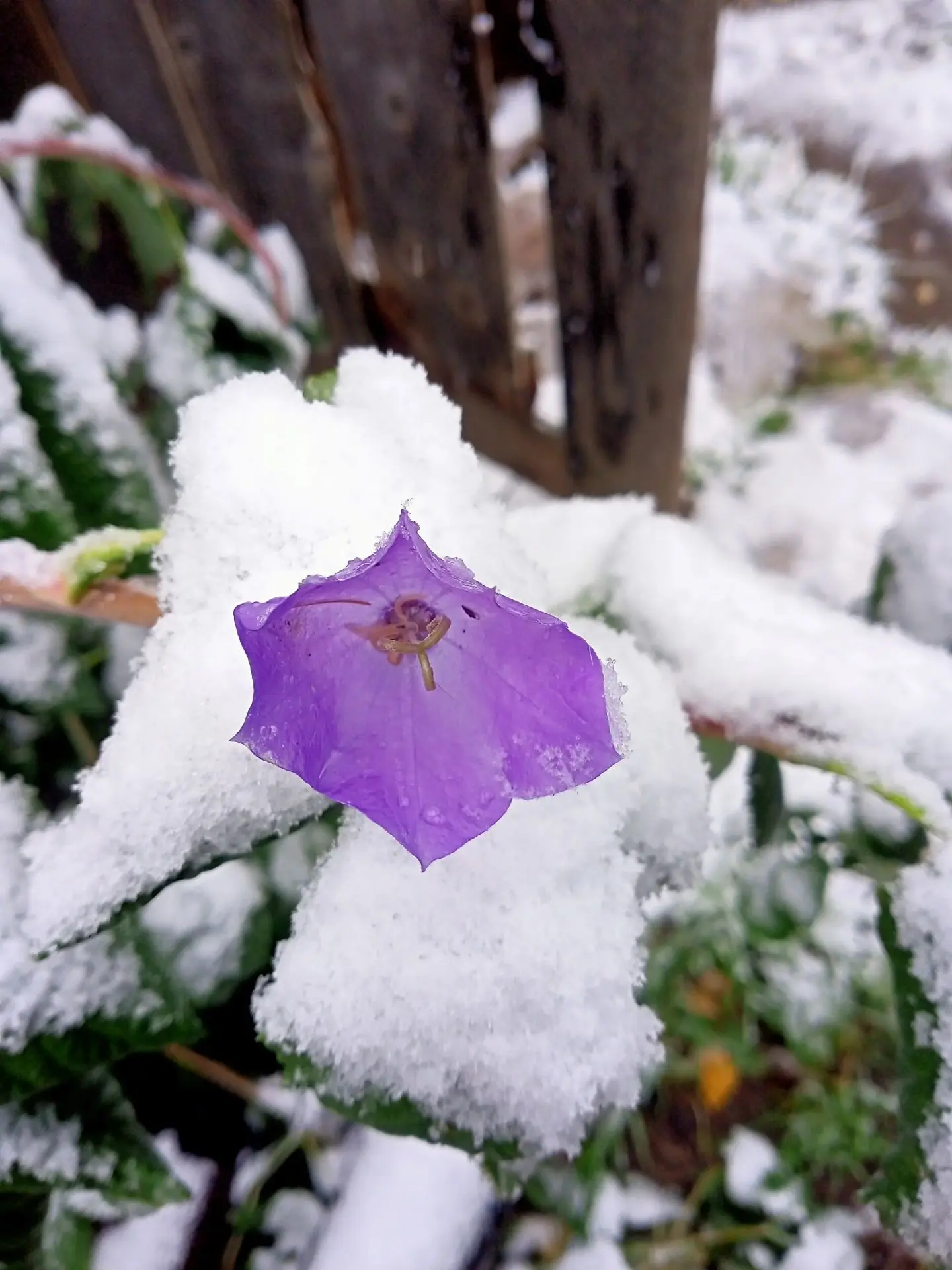 А потом вот так...🩵❄️