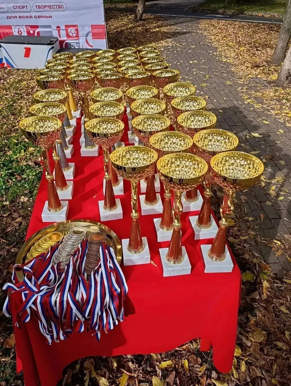 В Измайловском парке на выходных состоялись соревнования по спортивному ориентированию ...