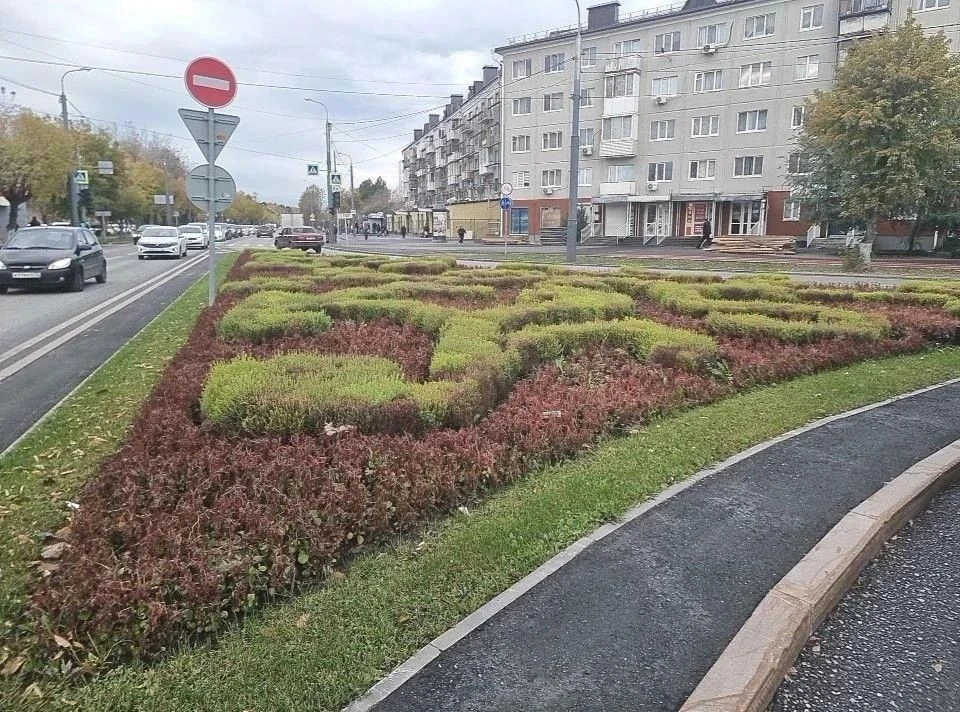 Тюменские цветники готовятся к зимовке