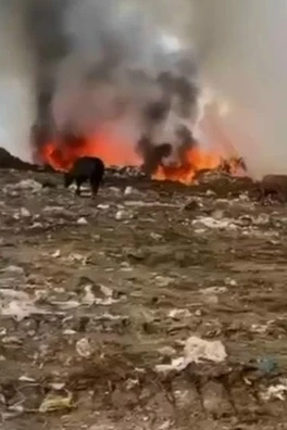 Под Махачкалой горит мусорный полигон