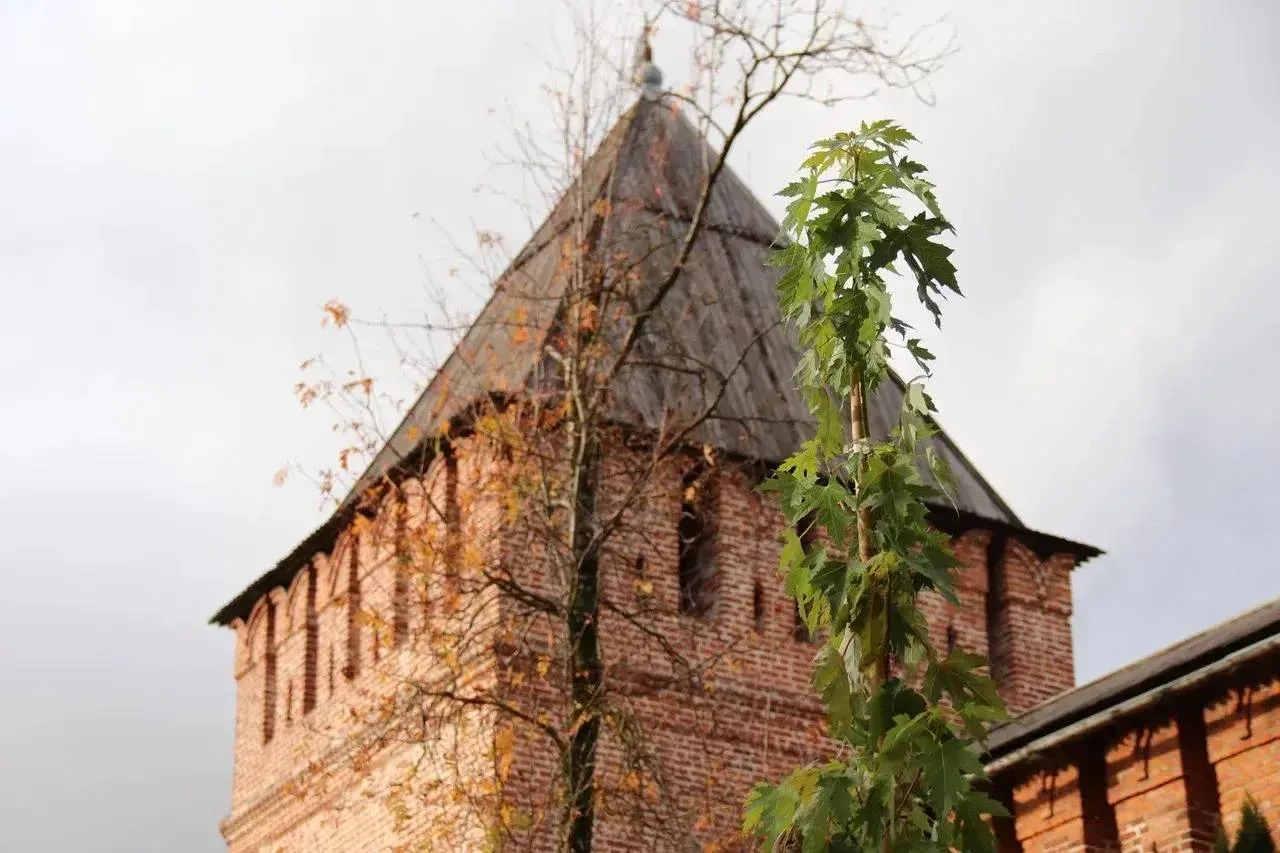 🌳 Осенние посадки в Смоленске продолжатся