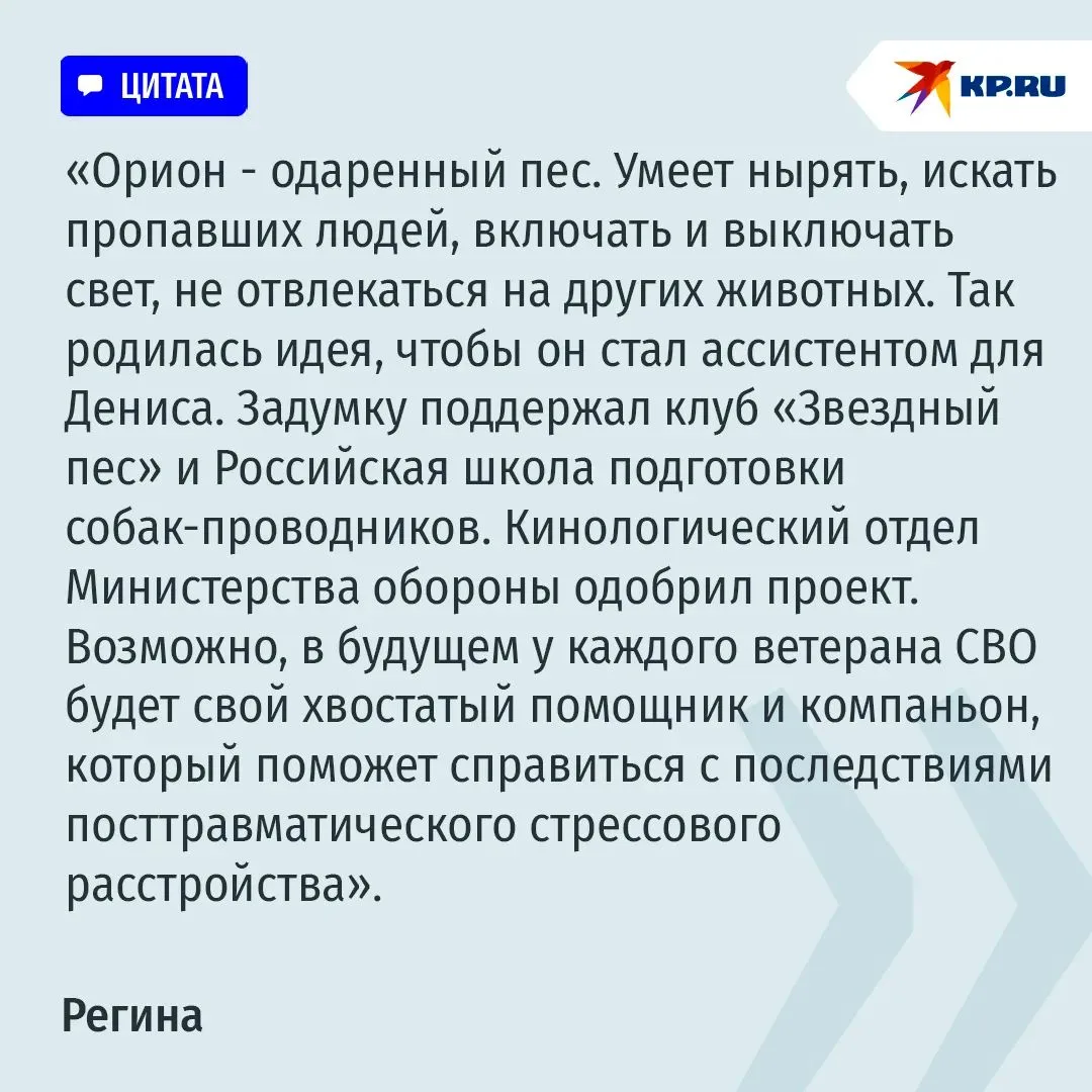 🐶 Трое в палате, считая собаку: жена спасает раненого на СВО мужа, а помогает ей в это...