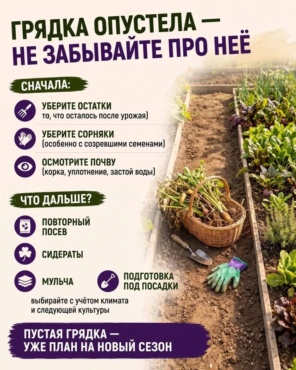 Дача перед осенью: 10 точек проверки 🍂