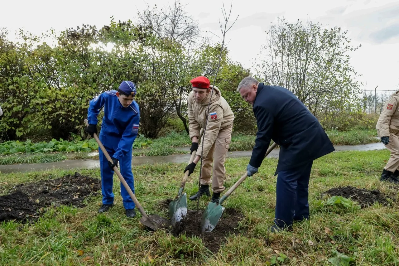 В Северске продолжается ежегодная акция «Посади свое дерево!»