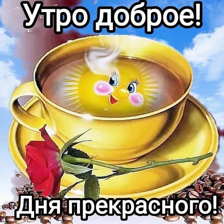 Утречко доброе,