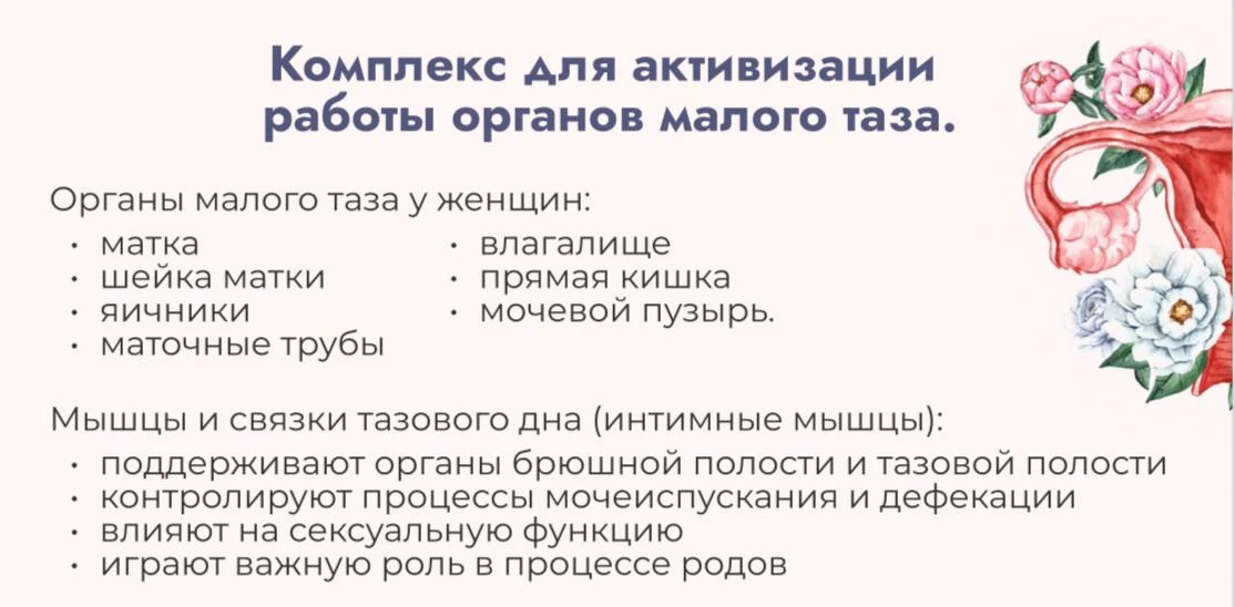 Упражнения для мышц тазового дна