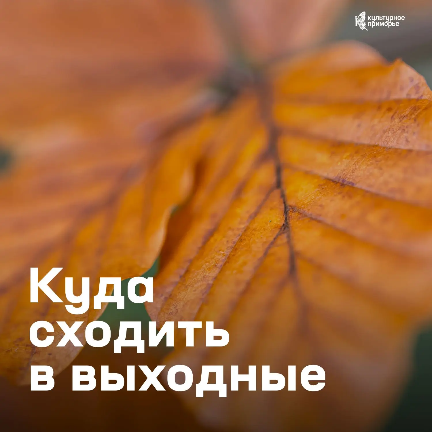 Выходные обещают быть насыщенными, так что оставаться дома точно не захочется ✨
