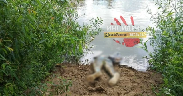 Тело женщины обнаружили в воде в Новом Уренгое