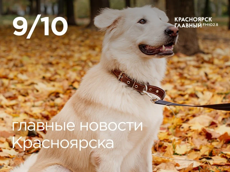 Главные новости за день: