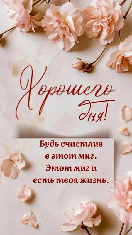 Самого доброго и светлого дня! ☀️