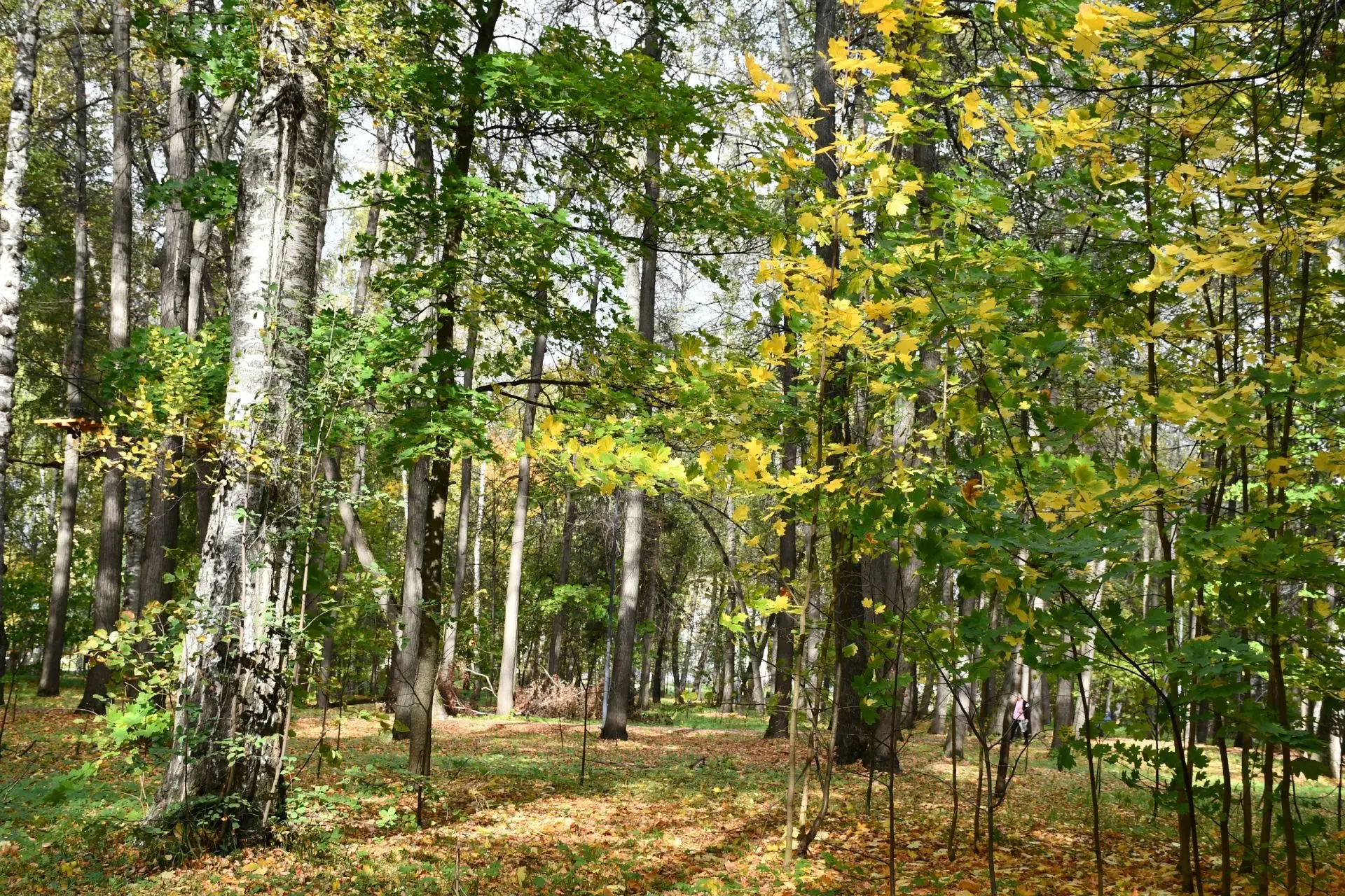 🍂 ОКТЯБРЬ АЕНА СЫНАМЫШЛАР 🌦