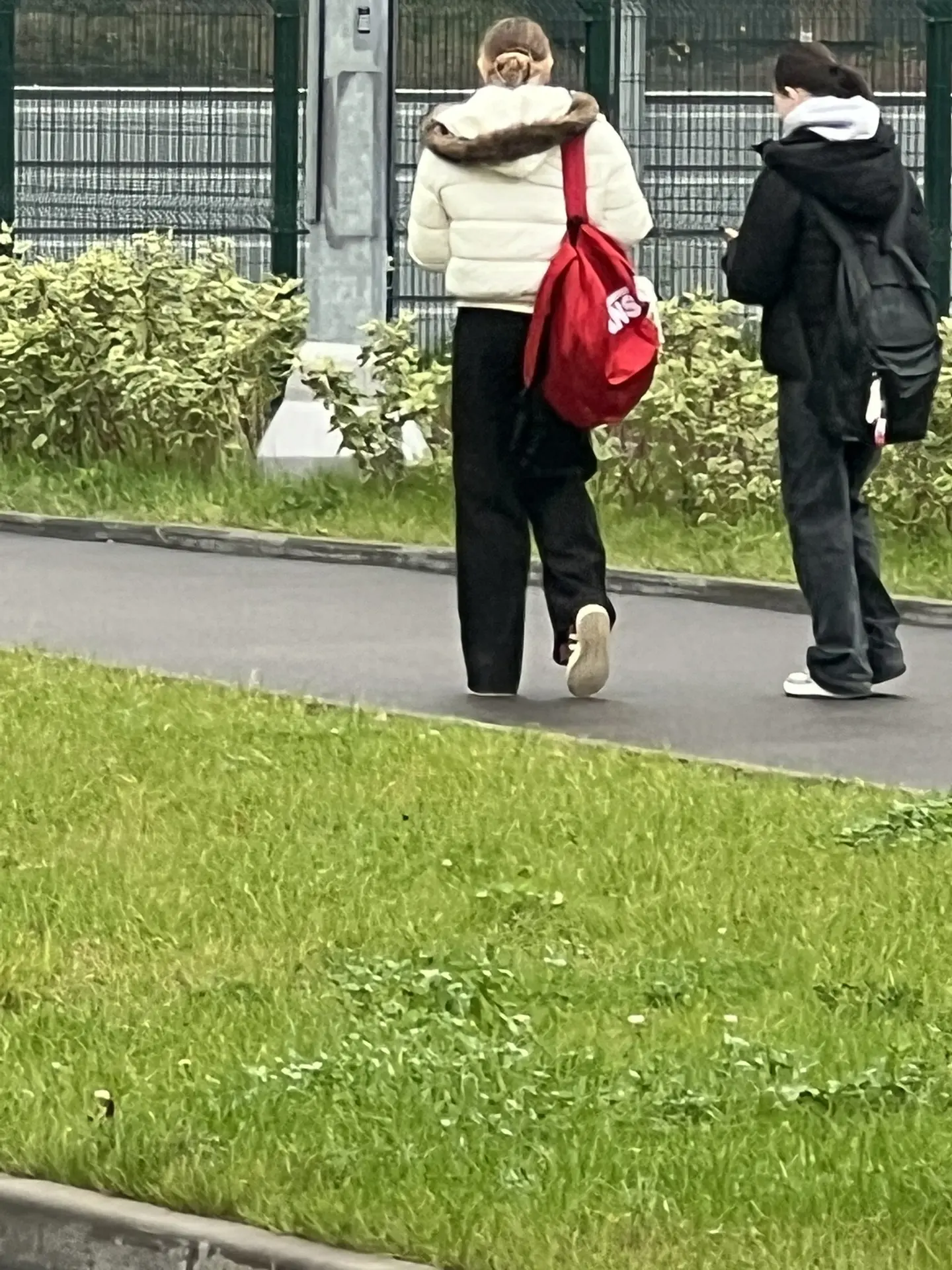 Предложка:
