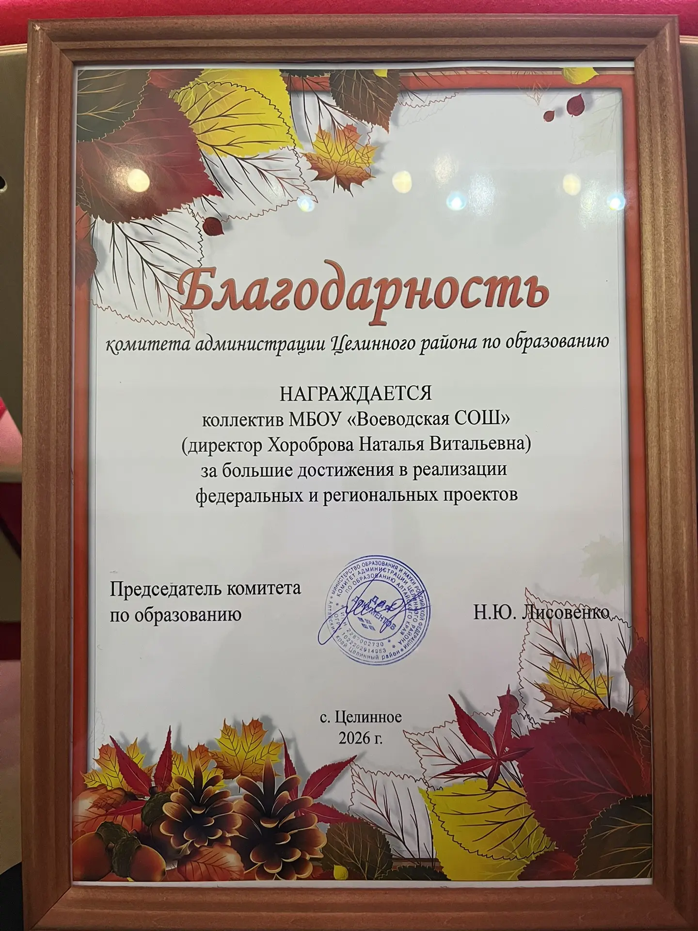 Дорогие коллеги! Поздравляю всех с нашим профессиональным праздником! Желаю высоко нест...