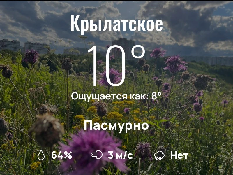 Что с погодой в Крылатском?