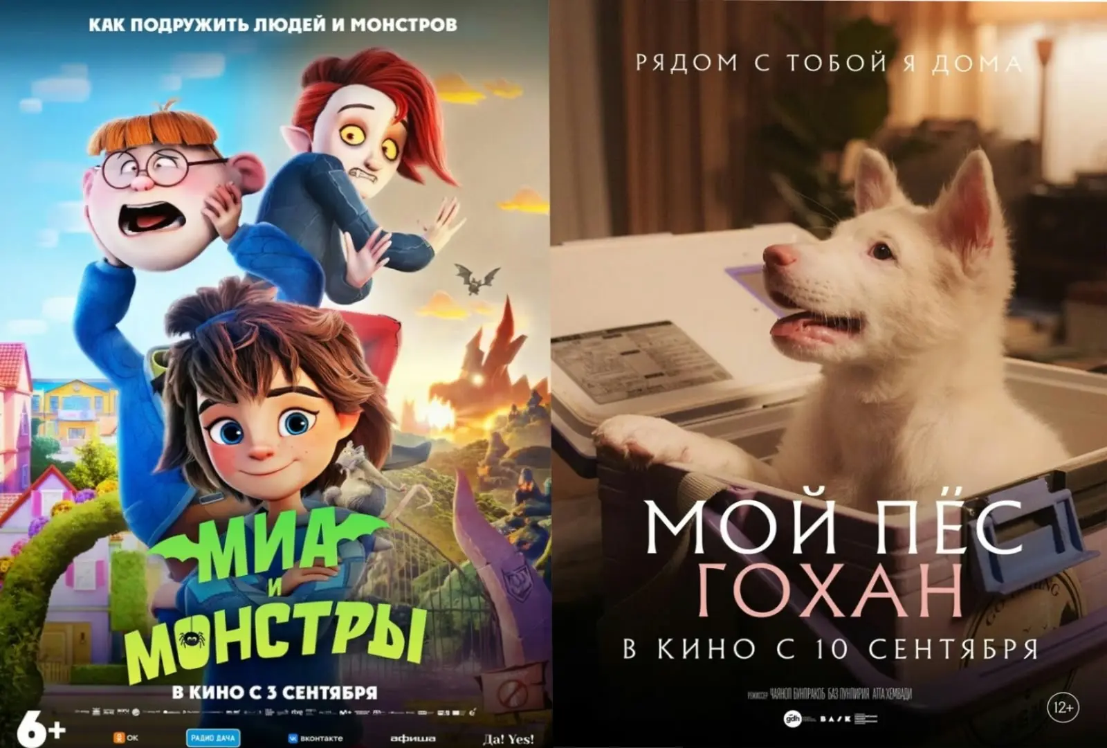🎬 КИНОВЫХОДНЫЕ В СКЦ! 🎬