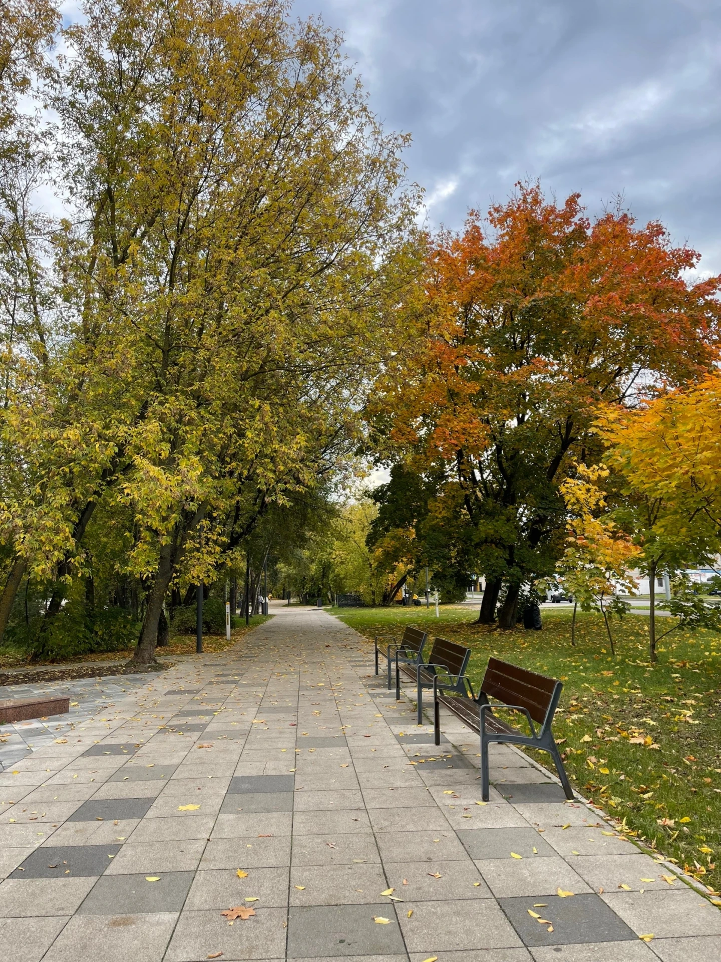ОСЕННИЙ 🍁 ГОРОД