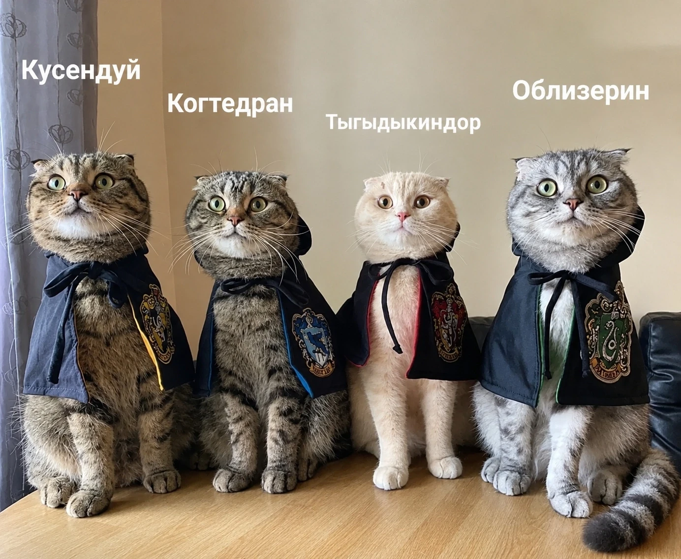 Милота 🥰