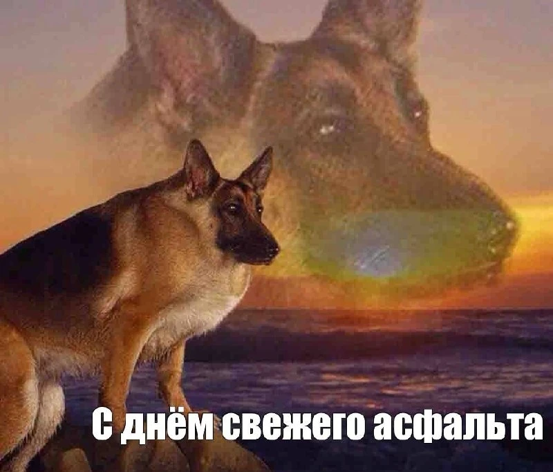 За спор об асфальте Серпухову присудили почти 20 миллионов рублей сверх стоимости ремонта