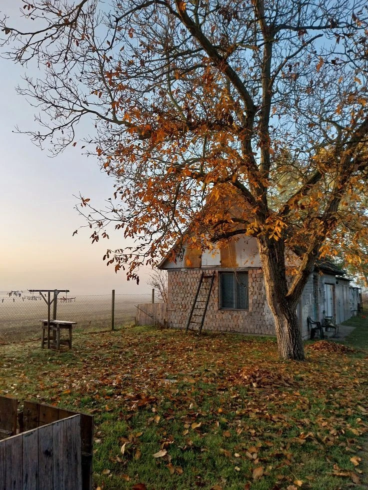 Выберите, что взять с собой в новый этап. Не весь прежний распорядок, а одну вещь, кото...