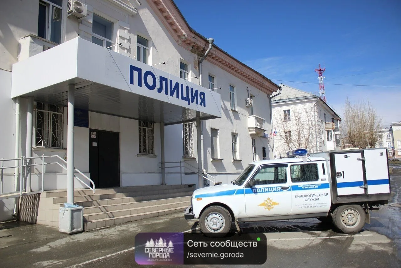 Неделя — 14 мaгазинных краж