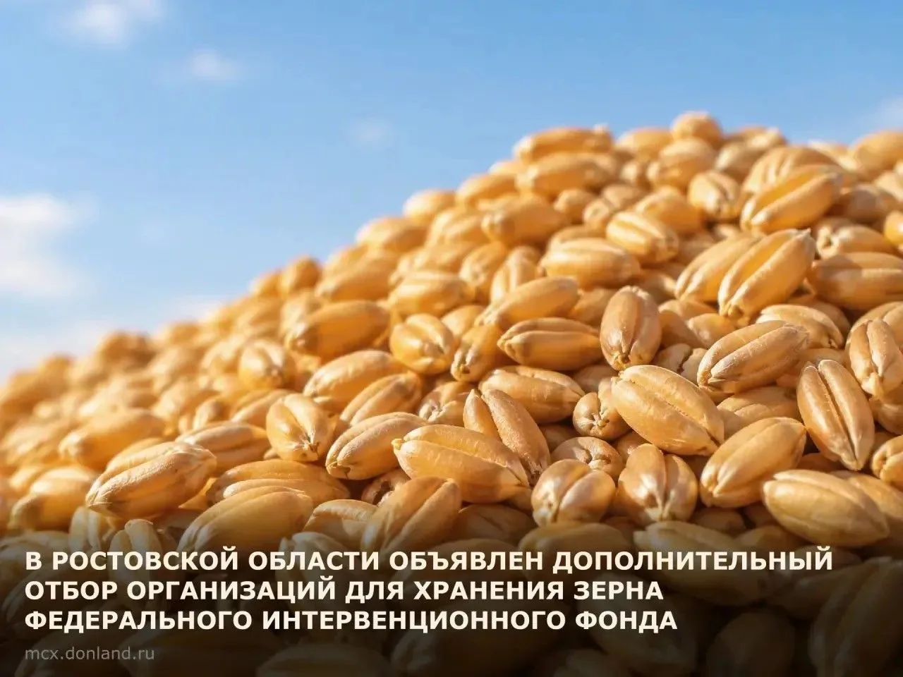 АО «Объединённая зерновая компания» объявило дополнительный конкурсный отбор организаци...