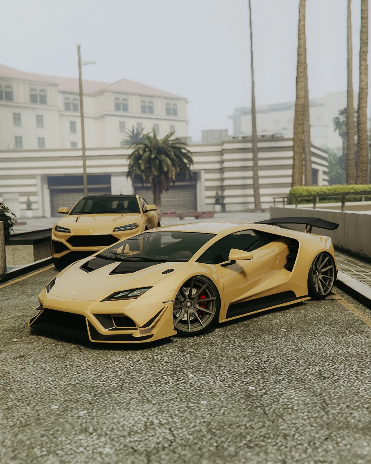 Toros x Tempesta 💛