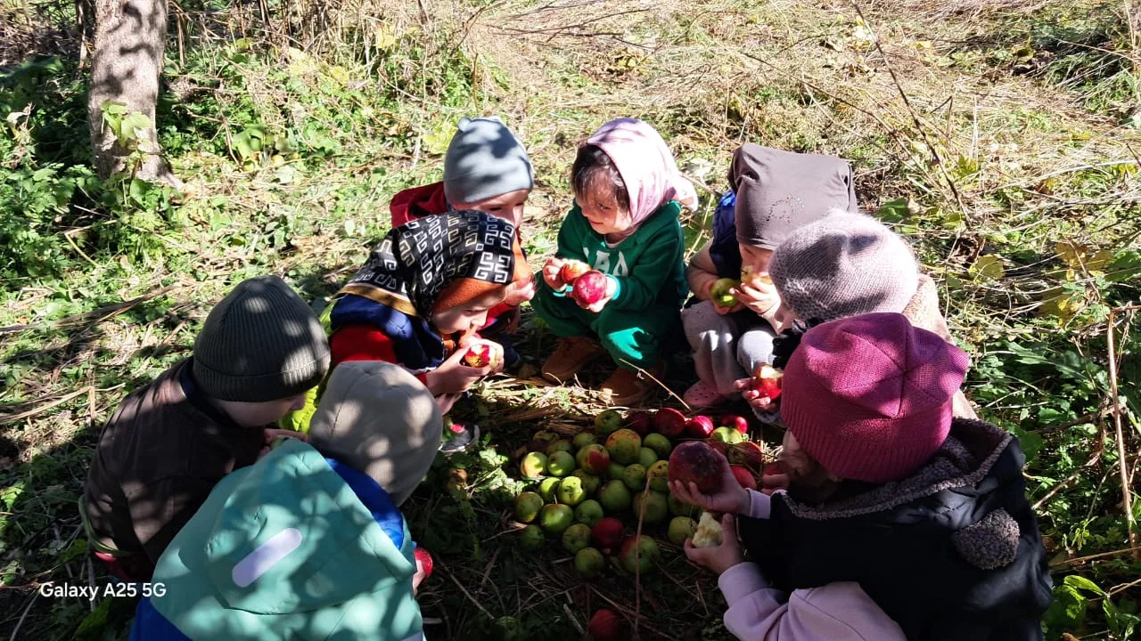 🍁🍂 Сегодня наши малыши из младшей группы отправились на осеннюю прогулку! 🌿 Дышали с...