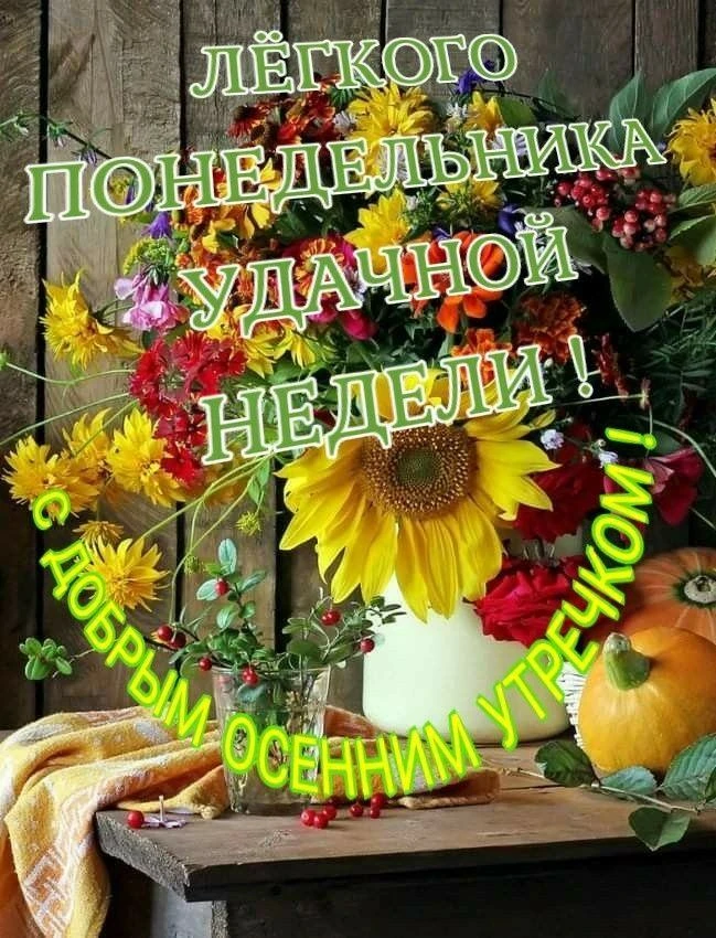 «Пусть понедельник не пугает списком задач, а станет спокойным стартом для хорошей и пр...