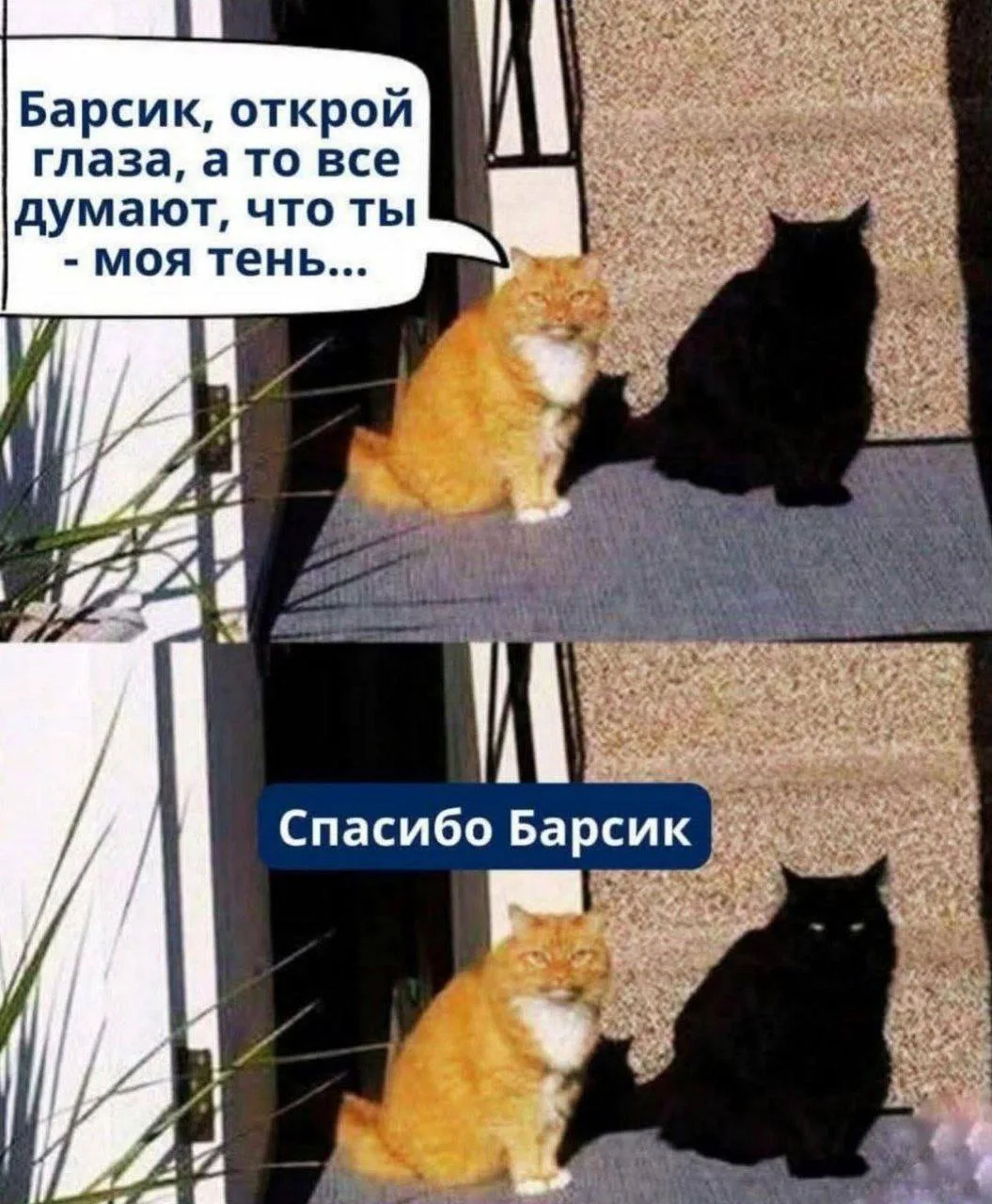 👉 👈