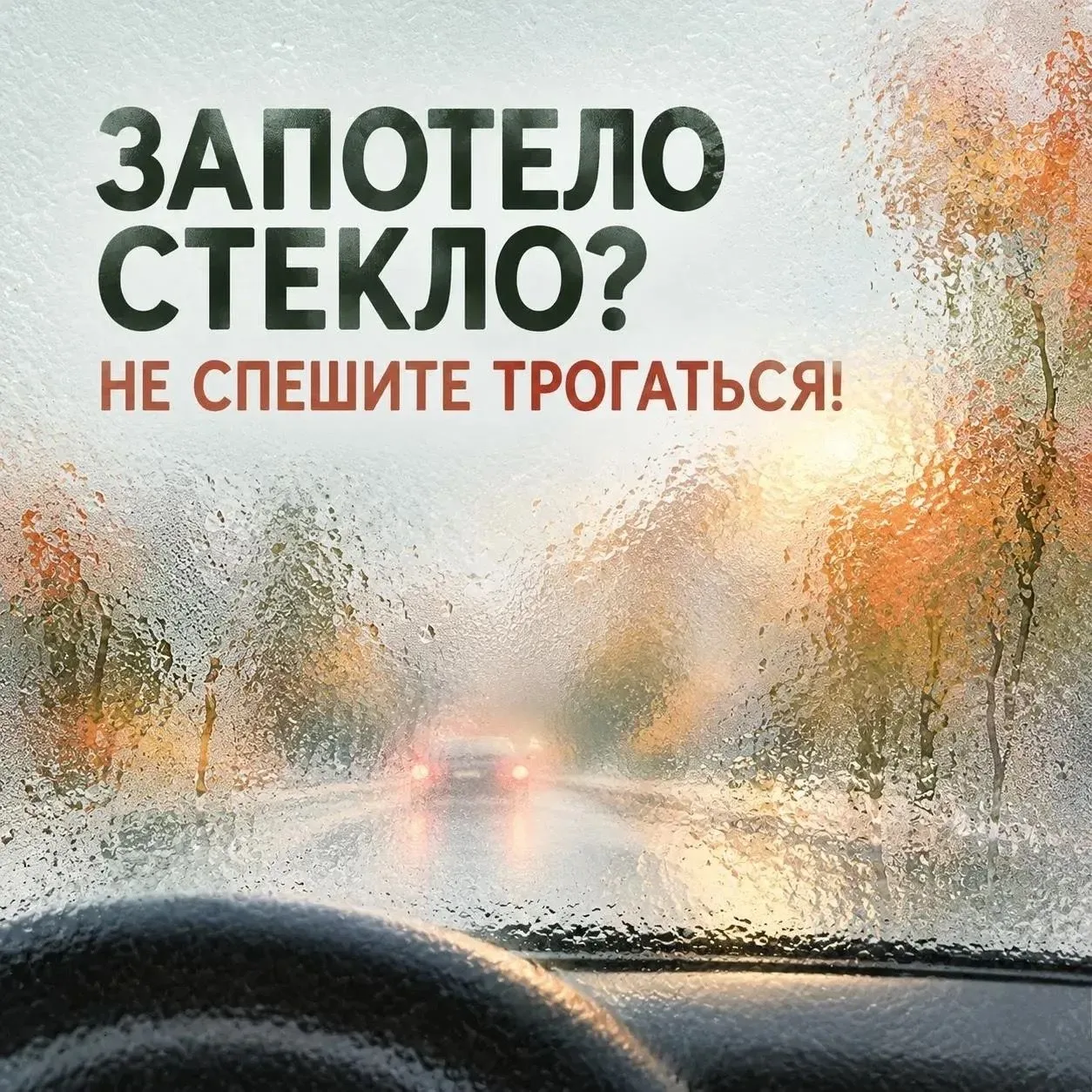 ☔ В такую, как сегодня, дождливую погоду Госавтоинспекция Нижнего Тагила предупреждает!
