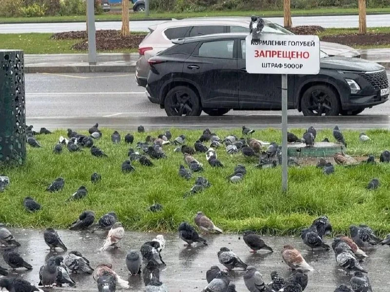 😂 Кто-то явно решил поспорить с табличкой