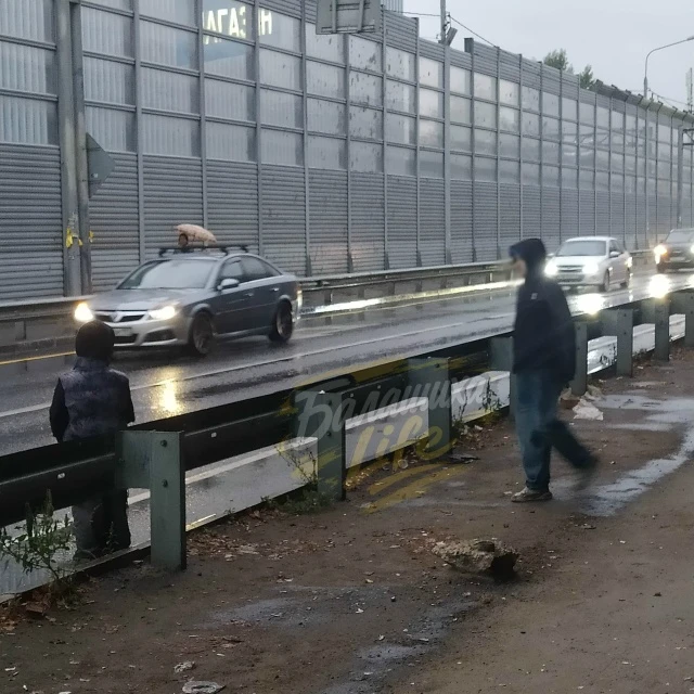 Добрый день! Регулярно встречаю на развязке ш.Энтузиастов под мостом напротив Декатлона...