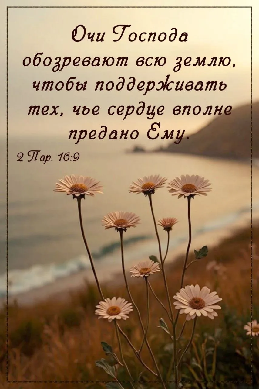 Божьей поддержки вам во всех делах! 🙏