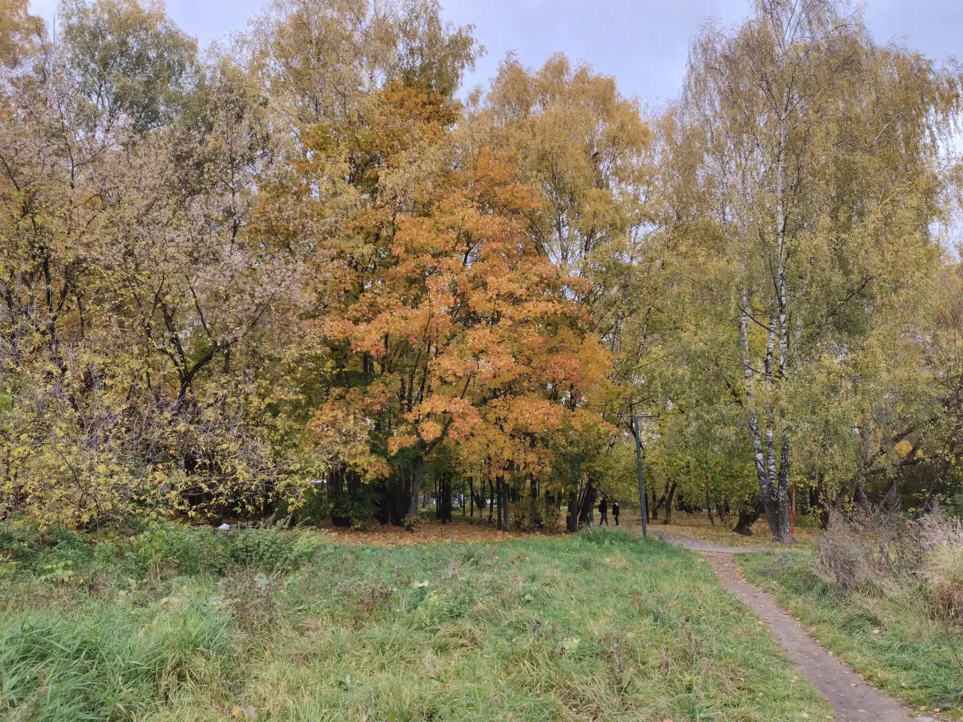 Выходные в Балашихе ❤️